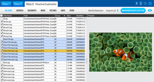 Easy Duplicate Finder