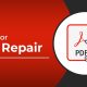 Kernel for PDF Repair